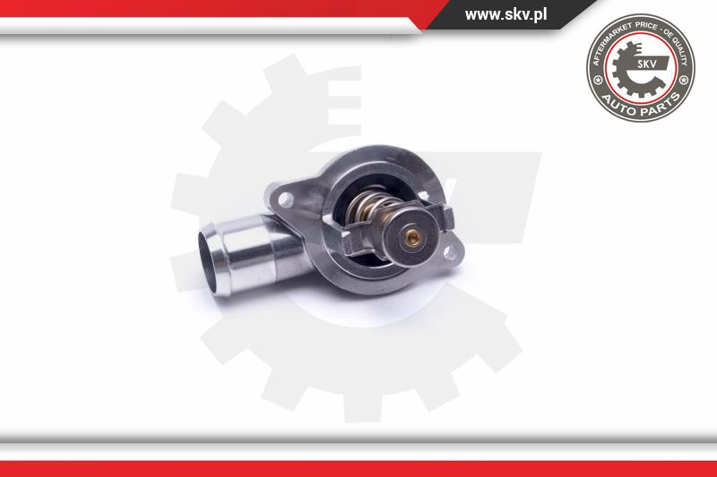 Thermostat, coolant