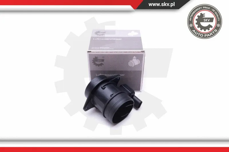 Mass Air Flow Sensor (07SKV156)