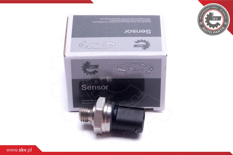 Sensor, exhaust pressure (17SKV780)