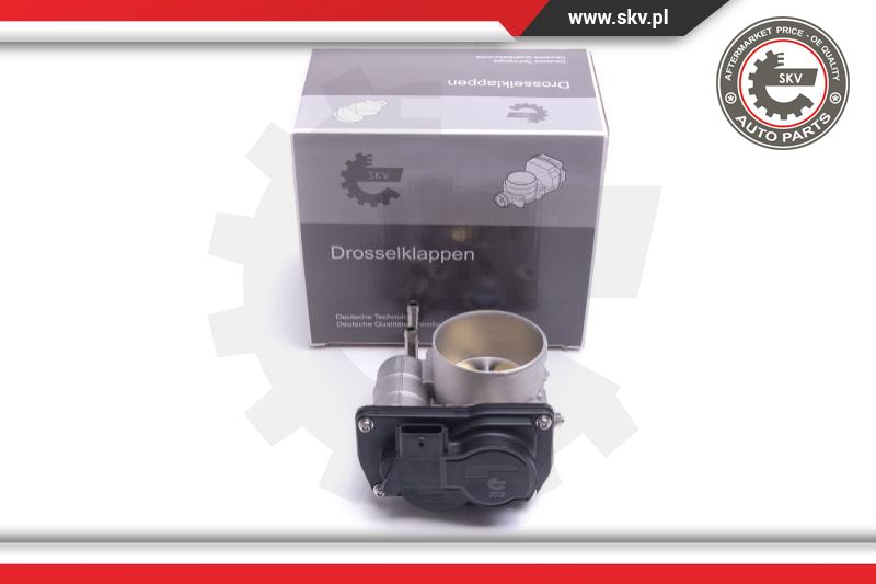 Throttle Body (12SKV122)