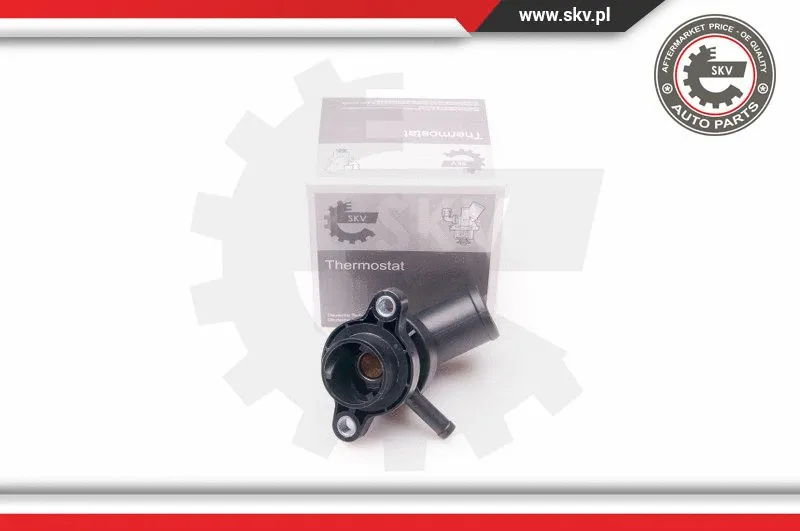 Thermostat, coolant