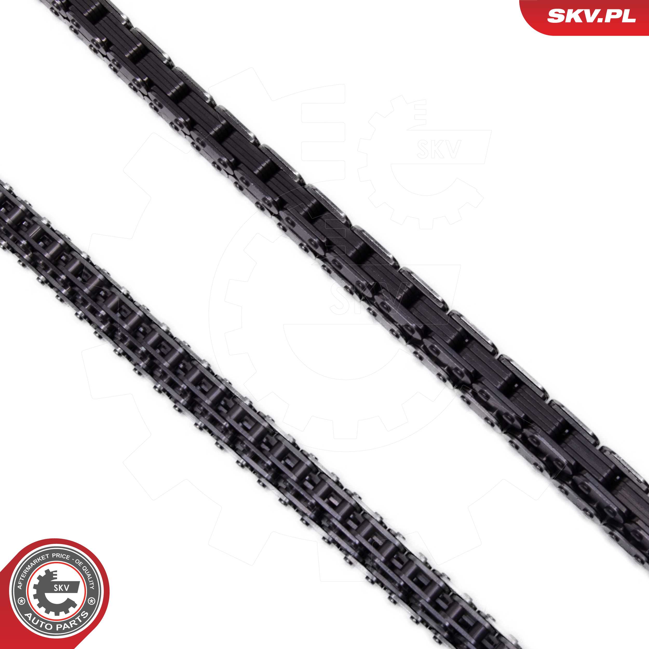 Timing Chain Kit