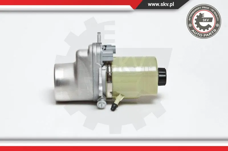 Hydraulic Pump, steering (10SKV135)