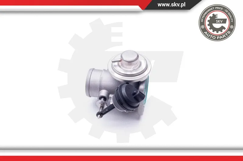 EGR Valve