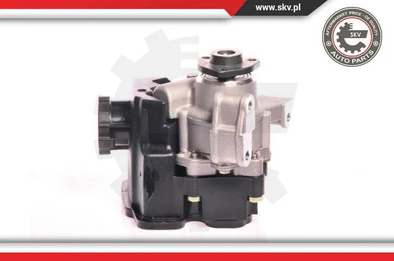 Hydraulic Pump, steering (10SKV162)