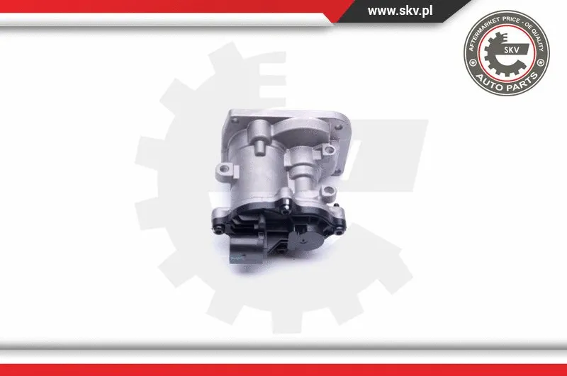 EGR Valve