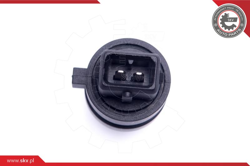 Sensor, intake air temperature