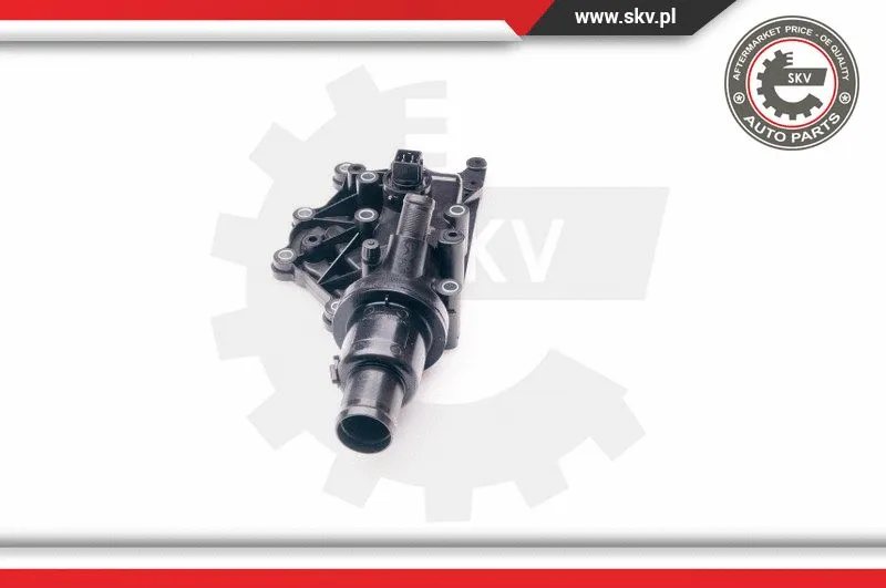 Thermostat, coolant