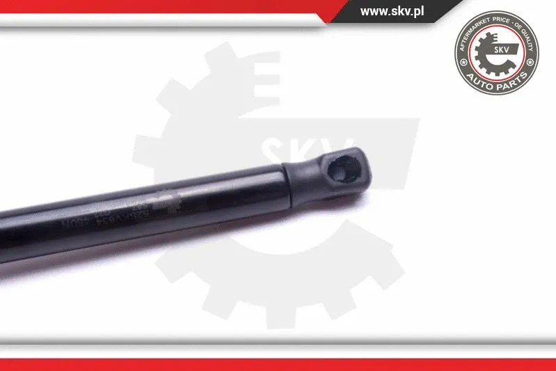 Gas Spring, boot/cargo area