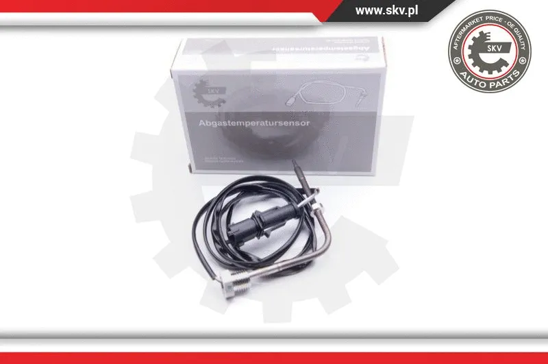 Sensor, exhaust gas temperature (30SKV089)