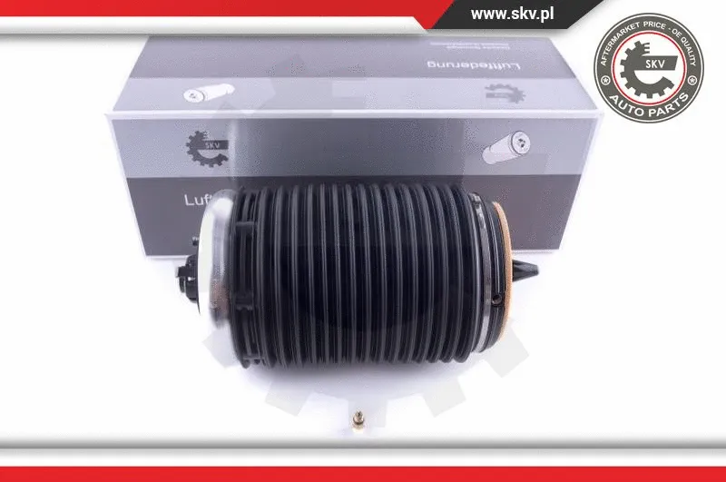 Air Spring, suspension (58SKV017)