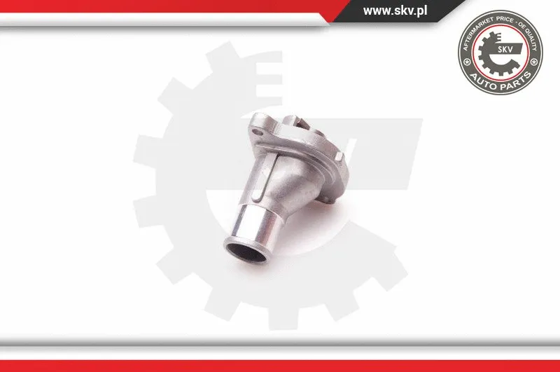 Thermostat, coolant