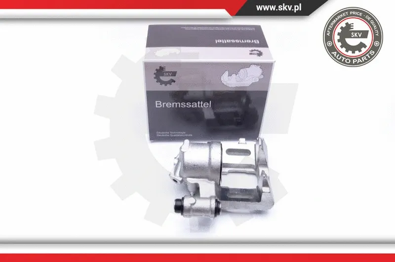 Brake Caliper (42SKV131)