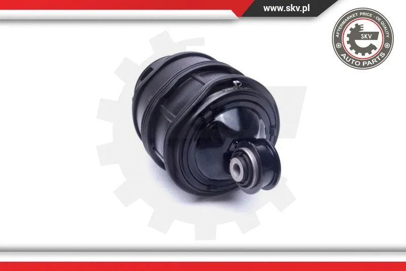 Air Spring, suspension