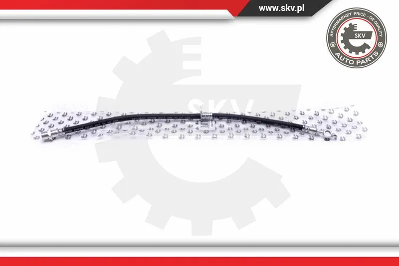 Brake Hose (35SKV159)