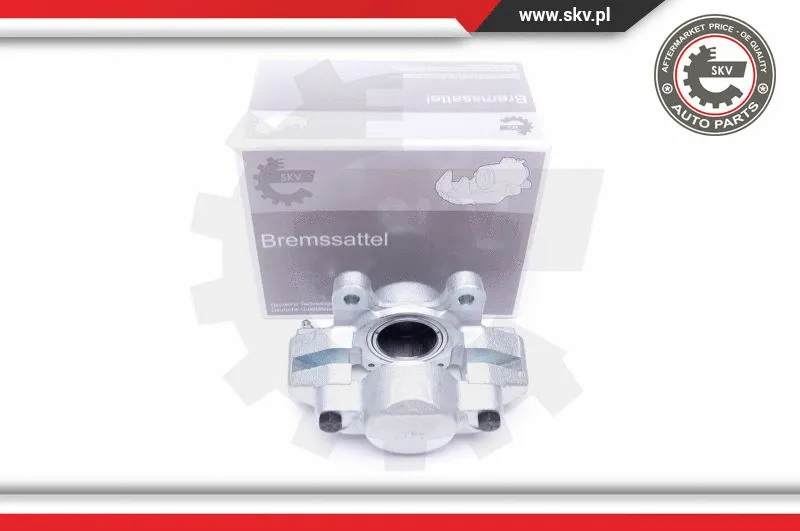 Brake Caliper (45SKV862)