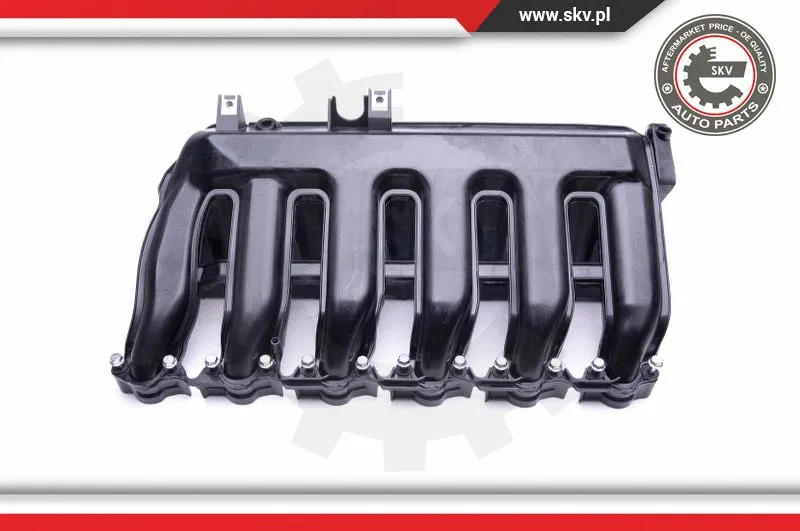 Intake Manifold Module