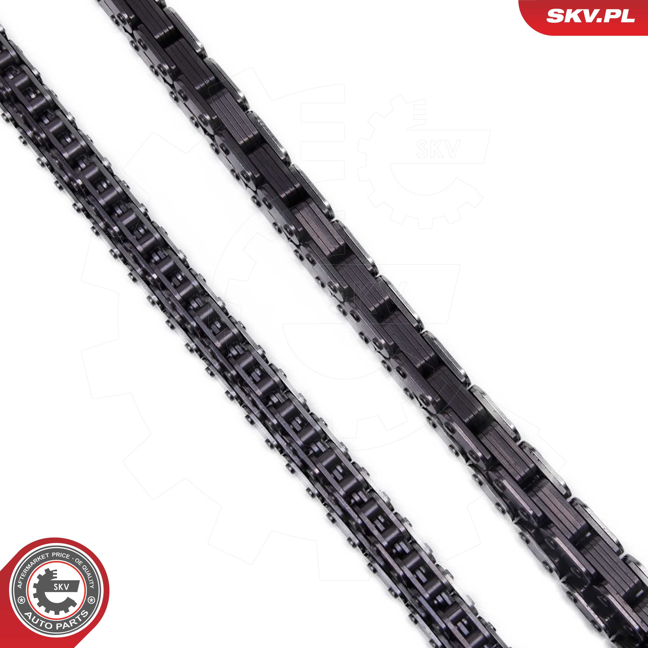 Timing Chain Kit
