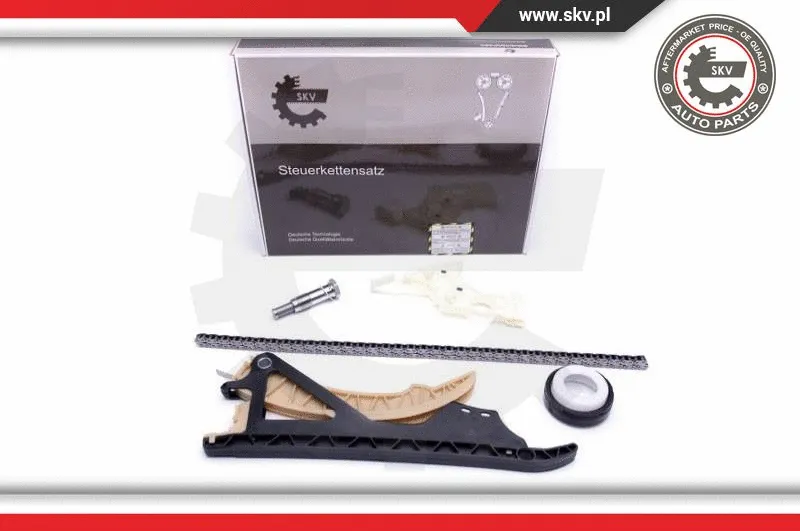 Timing Chain Kit (21SKV169)
