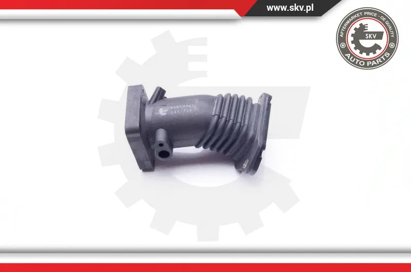 Intake Hose, air filter (24SKV447)