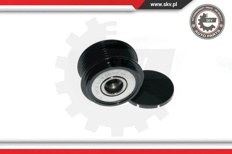 Alternator Freewheel Clutch (11SKV043)
