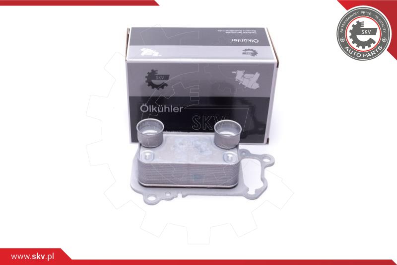 Oil Cooler, engine oil (31SKV225)