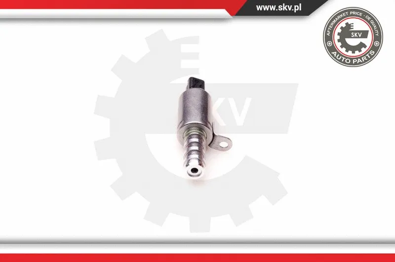 Control Valve, camshaft adjustment (39SKV015)