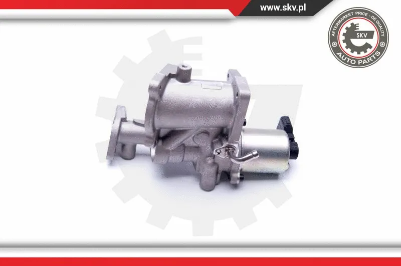 EGR Valve