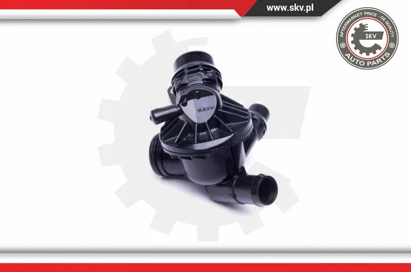 Thermostat, coolant