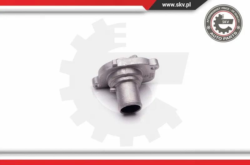 Thermostat, coolant