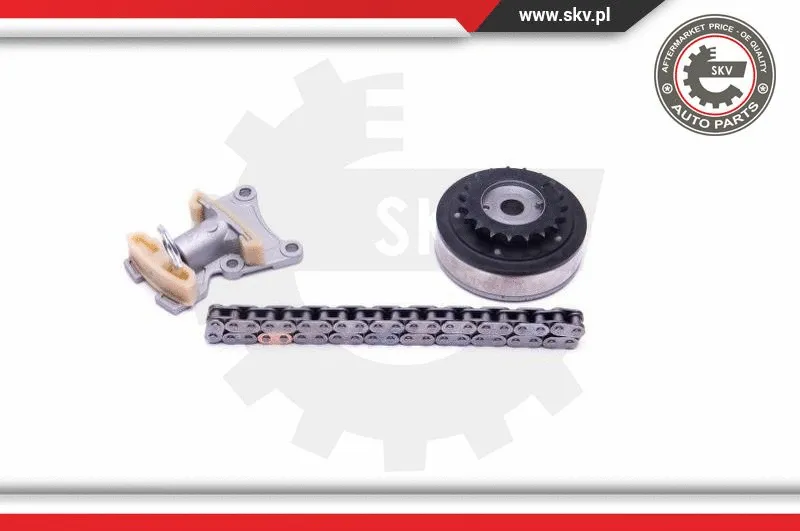 Timing Chain Kit