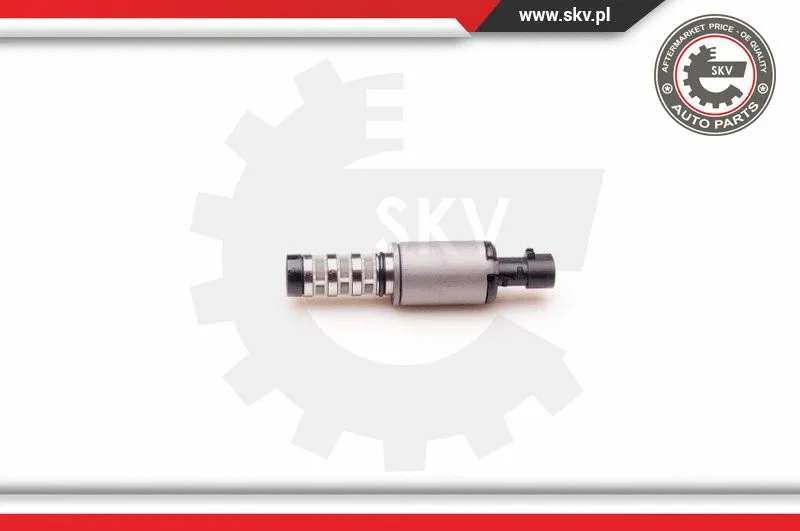 Control Valve, camshaft adjustment (39SKV001)