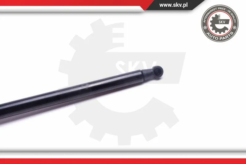 Gas Spring, boot/cargo area