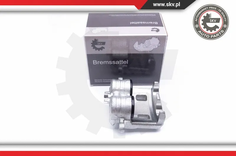 Brake Caliper (42SKV442)