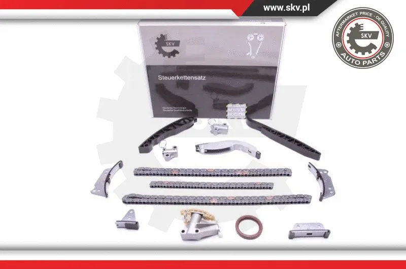 Timing Chain Kit (21SKV223)