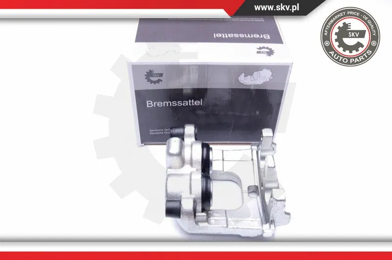Brake Caliper (44SKV851)