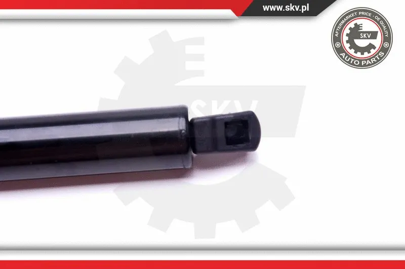 Gas Spring, boot/cargo area