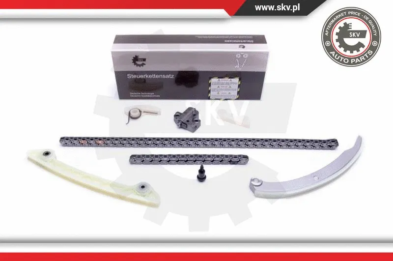 Timing Chain Kit (21SKV232)