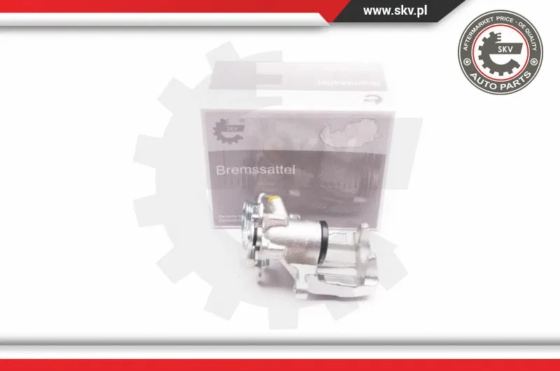 Brake Caliper (23SKV503)