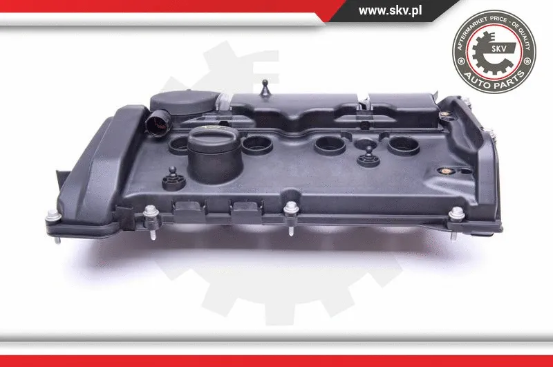 Cylinder Head Cover (48SKV017)