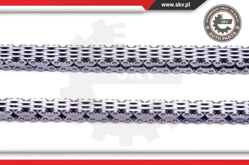 Timing Chain Kit