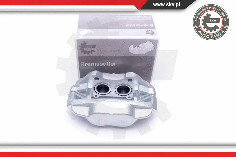 Brake Caliper (45SKV881)