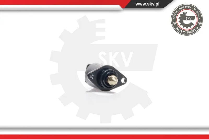 Idle Control Valve, air supply (08SKV028)