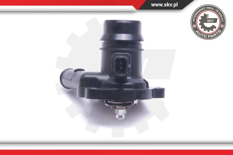 Thermostat, coolant