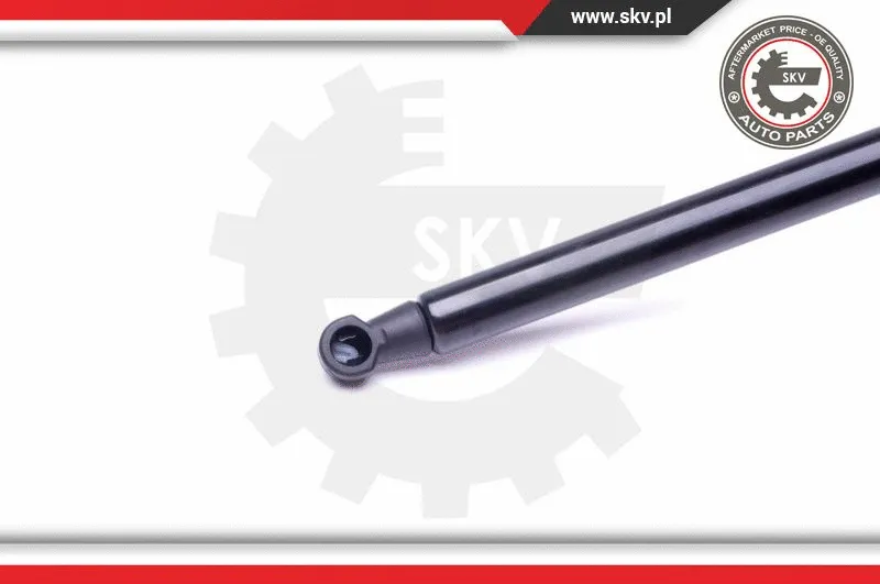 Gas Spring, boot/cargo area