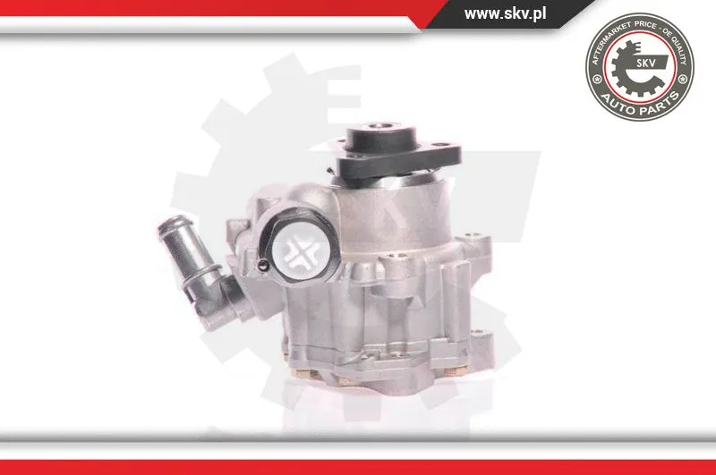 Hydraulic Pump, steering (10SKV161)