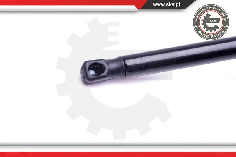Gas Spring, bonnet