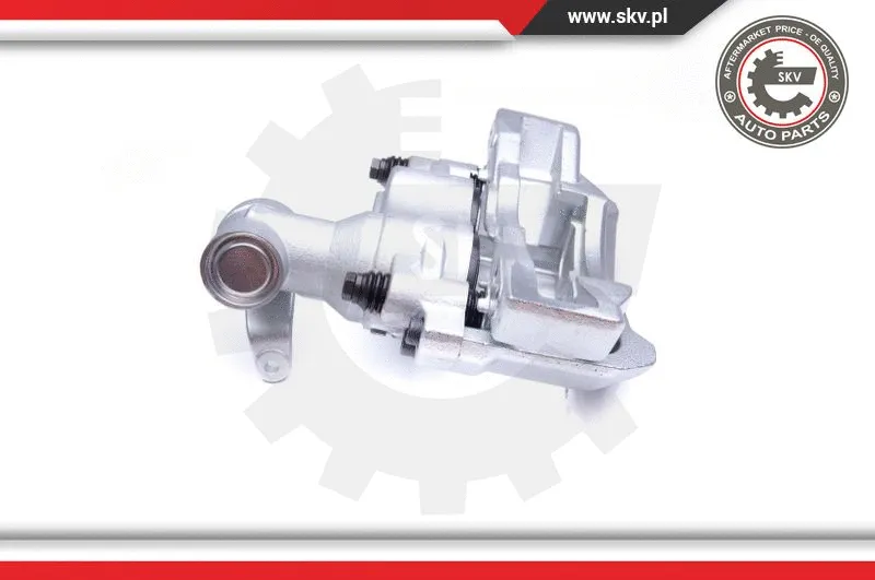 Brake Caliper (42SKV084)