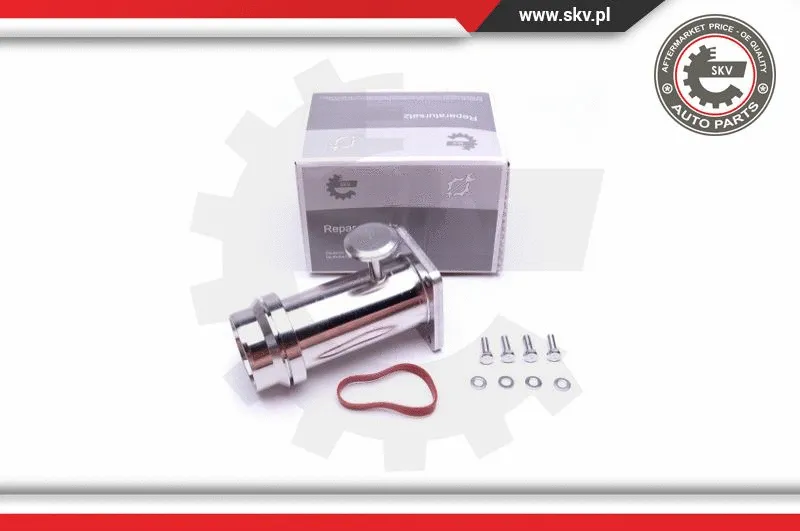 Repair Kit, intake manifold module (14SKV509)