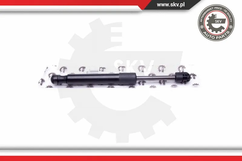 Gas Spring, boot/cargo area